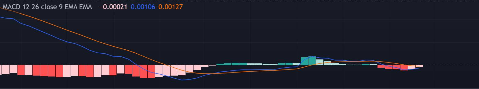 macd 지표