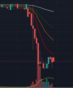 오르빗 체인 시장 반응