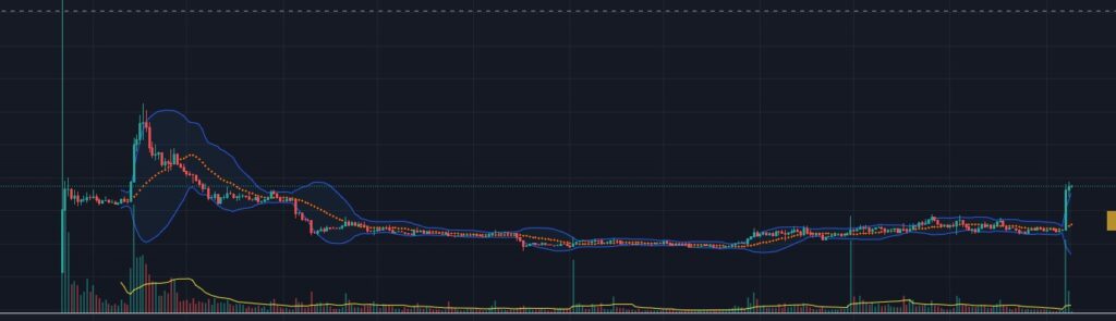 스페이스 아이디 차트 : by binance