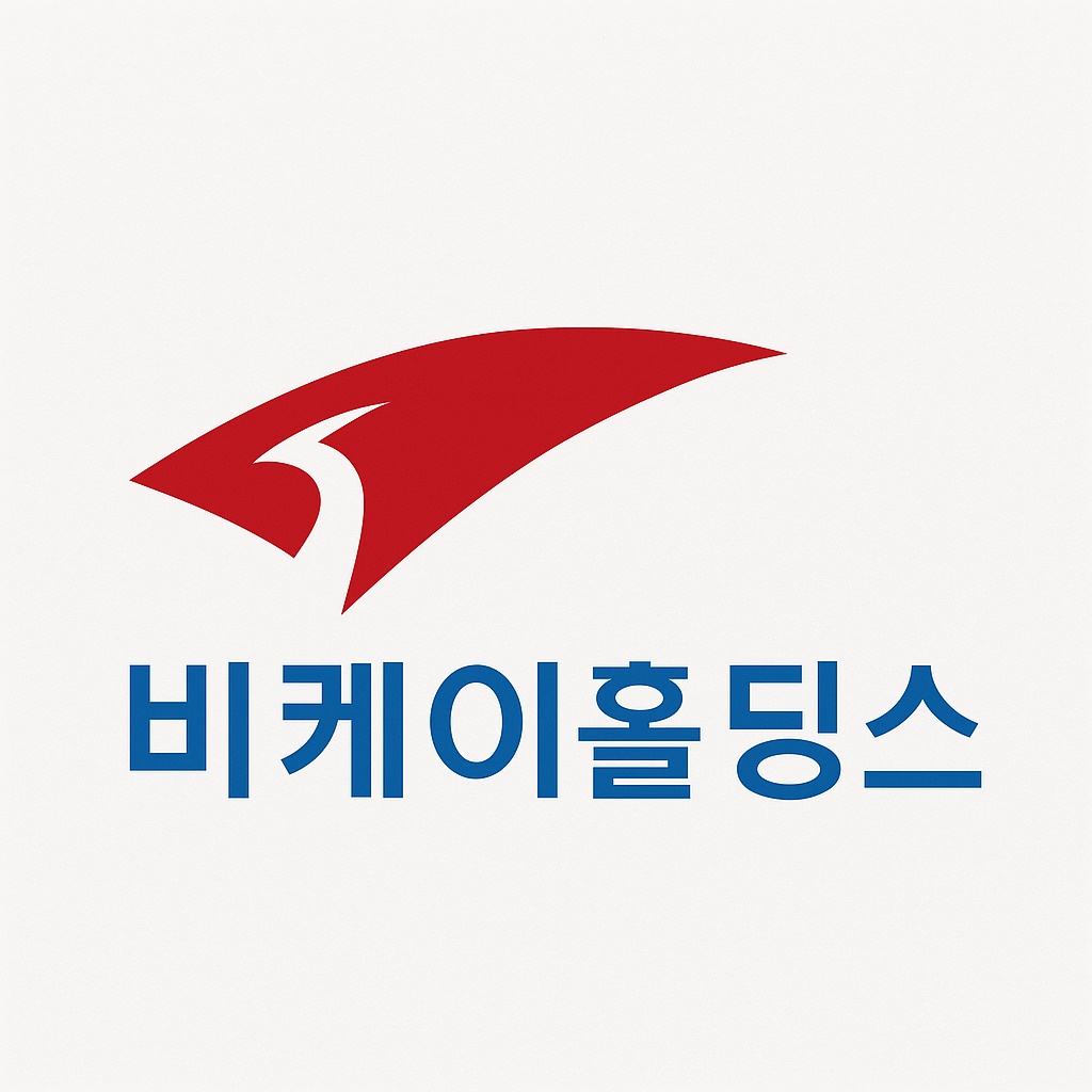 비케이 홀딩스 이미지